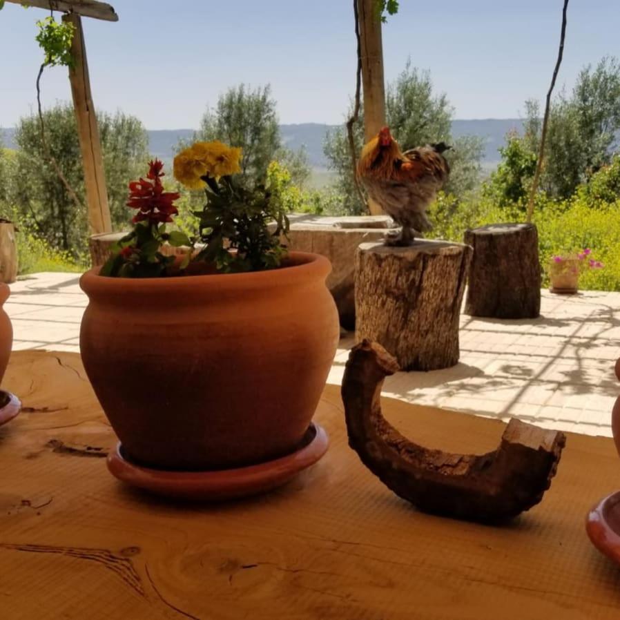 Hotel Le Chene D'Azrou Esterno foto