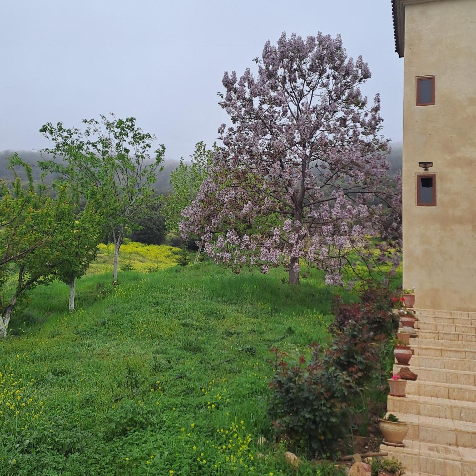 Hotel Le Chene D'Azrou Esterno foto