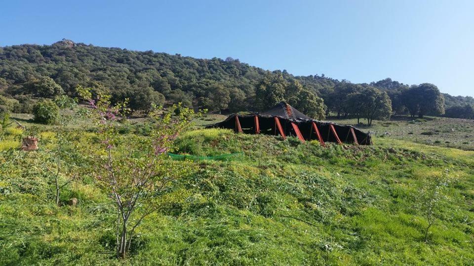 Hotel Le Chene D'Azrou Esterno foto